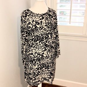 Black White Leopard J. Crew Shift Dress